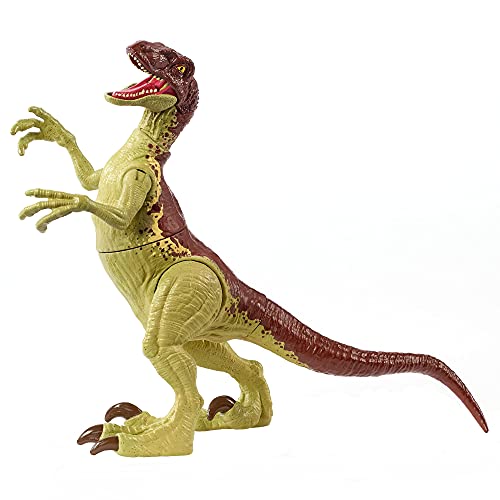 Jurassic World Velociraptor fuerza feroz Dinosaurio articulado, figura de juguete para niños (Mattel GWN32)