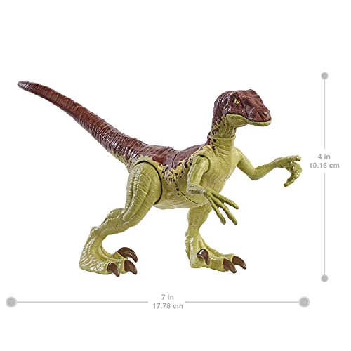 Jurassic World Velociraptor fuerza feroz Dinosaurio articulado, figura de juguete para niños (Mattel GWN32)