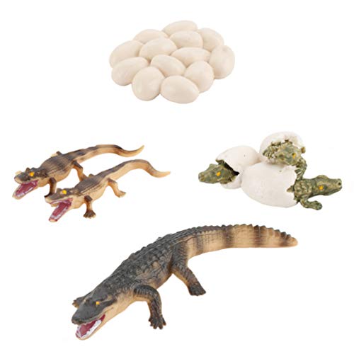 Kisangel 1 Juego de Figura de Ciclo de Vida de Cocodrilo Estatua de Plástico Realista Huevo de Cocodrilo Juguete Modelo de Cocodrilo Juguete Educativo Animal Año Nuevo Regalos de