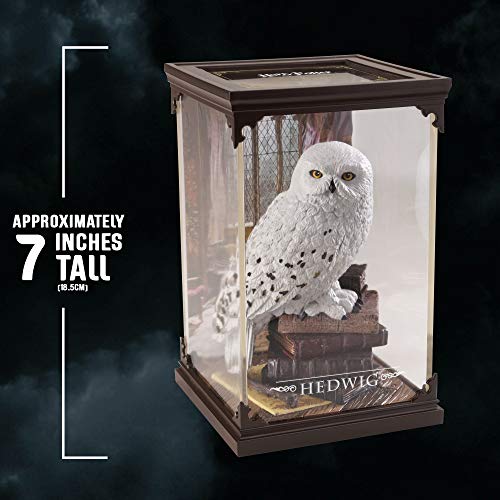 La Colección Noble Criaturas Mágicas - Hedwig