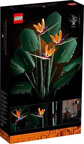 LEGO 10289 Creator Expert Bird of Paradise Juego de construcci�n para adultos, plantas artificiales, decoraci�n de flores, idea de regalo