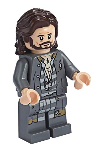 LEGO® - Minifigs - Harry Potter - hp174 - Sirius Black (75945).