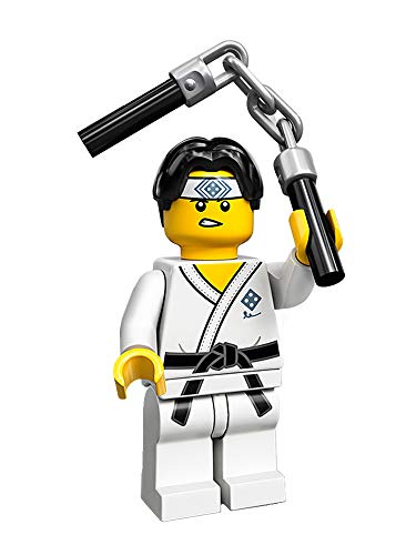 LEGO Minifigures Collectible Serie 20 (71027) - Martial Arts Boy