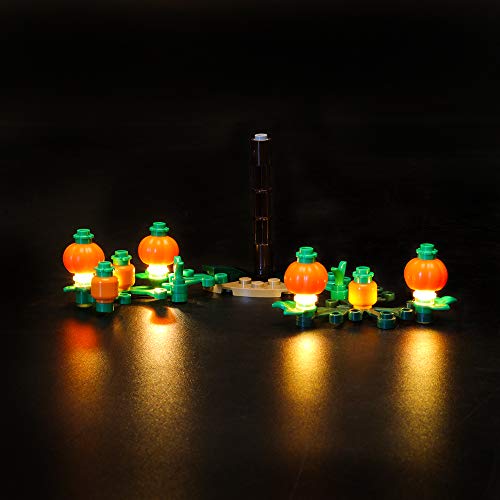 LIGHTAILING Conjunto de Luces (Harry Potter Cabaña de Hagrid Rescate de Buckbeak) Modelo de Construcción de Bloques - Kit de luz LED Compatible con Lego 75947 (NO Incluido en el Modelo)