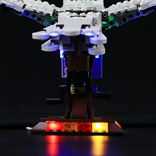 LIGHTAILING Conjunto de Luces (Harry Potter Hedwig) Modelo de Construcción de Bloques - Kit de luz LED Compatible con Lego 75979 (NO Incluido en el Modelo)