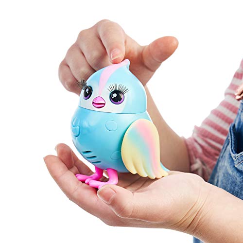 Little Live Pets Lil' Bird & Pajarera – Rainbow Tweets – Bird de Little Live Pets & Pajarera – Casita para pájaros Que se Pueden conectar Mediante Ganchos, Cabeza más de 20 pajareras