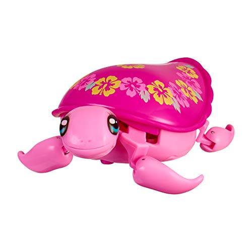 Little Live Pets Lil' Turtle Laila (paquete individual) (Moose Toys 26331)