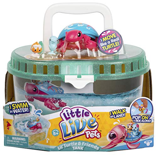 Little Live Pets Tortuga Molona con tanque, Serie 6, para niños y niñas a partir de 5 años (Famosa 700015181)