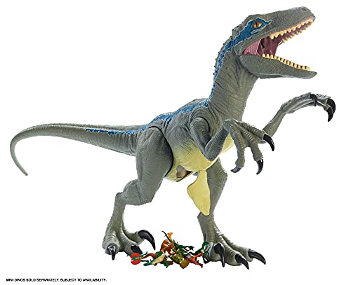 Mattel - Jurassic World Velocirráptor Blue Supercolosal, Dinosaurio de Juguete (Mattel GCT93)