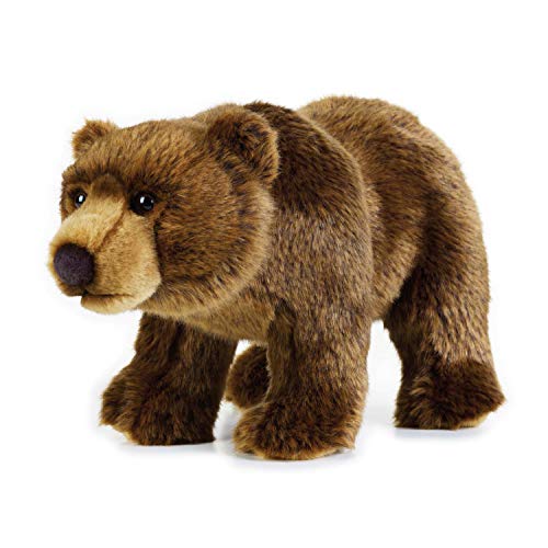 NATIONAL GEOGRAPHIC - 8004332707400 - Peluche Oso