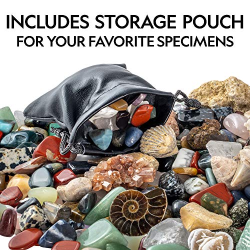 NATIONAL GEOGRAPHIC Rocks & Fossils Kit – 200+ Piece Set Includes Geodes, Real Fossils, Rose Quartz, Jasper, Aventurine & Many More Rocks, Crystals & Gemstones