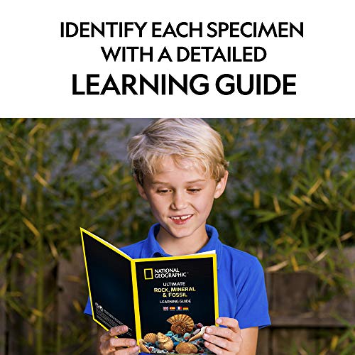 NATIONAL GEOGRAPHIC Rocks & Fossils Kit – 200+ Piece Set Includes Geodes, Real Fossils, Rose Quartz, Jasper, Aventurine & Many More Rocks, Crystals & Gemstones