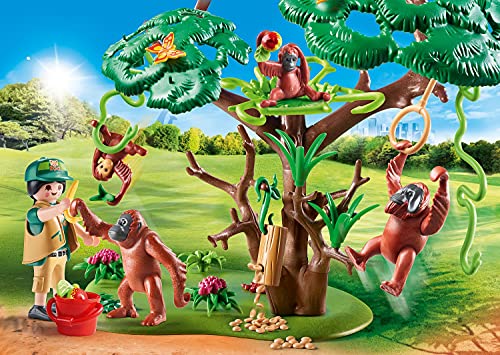 Orangutanes con Árbol