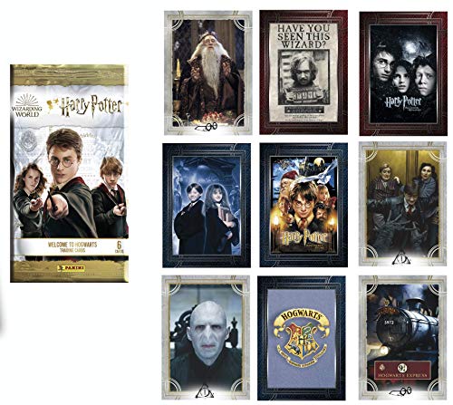 Panini France SA-HARRY POTTER SAGA TC - Caja de 24 bolsillos, 004220BOX24F