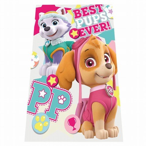 PAW PATROL Skye Everest Manta Polar PP Patrulla Canina