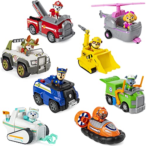 Paw Patrol VHC BscVeh LowPrice Skye GML, 6052310, 1 unidad, modelos surtidos