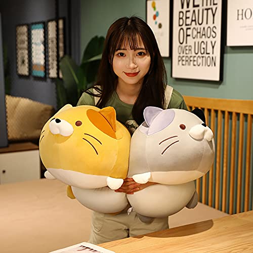 PEDEIECL Almohada Muy Suave para Gatos Animal de Peluche con Gatito de Felpa, Se Puede Usar para Camas y sillones, Los Mejores Regalos para niñas y niños ... (Naranja, Medium)