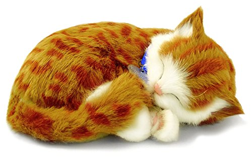 Perfect Petzzz 65431 - Peluche Interactivo de Gato (25 cm, Efecto de respiración)