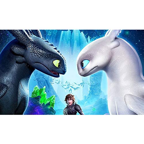 Play by Play HTTYD Pack 2 Dragons, como Entrenar a tu dragón - Peluches Desdentado y Furia Luminosa (Toothless y Light Fury) Color Negro y Blanco Calidad Super Soft 20cm (30cm Cola incluida)