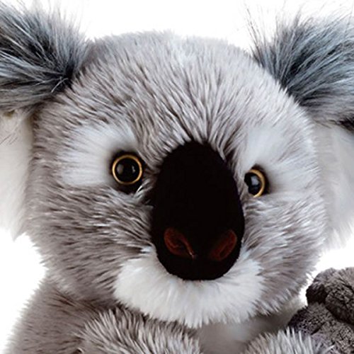 Plush&Company Nounours 05932 Koline - Koala de Peluche (22 cm)