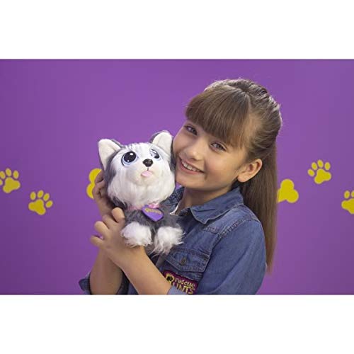 Rescue Runts - Peluche de Husky para niños, Juguete Veterinario, Gris, Blanco, a Partir de 3 años