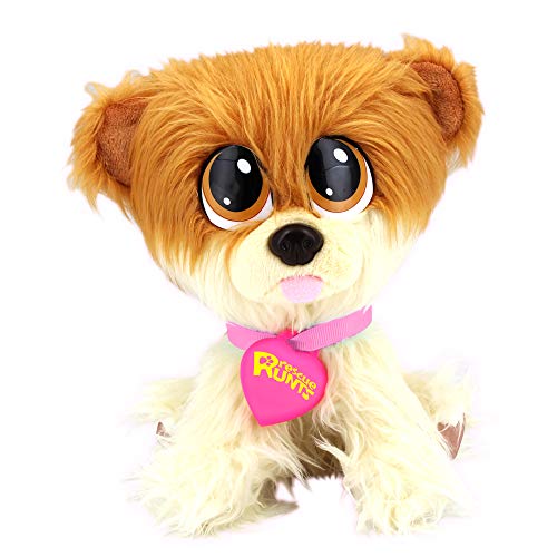 Rescue Runts- Pomerania, Multicolor (Bandai KD19012)