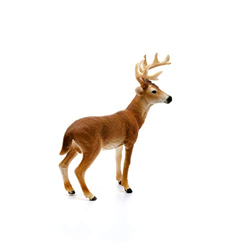 Schleich- Figura de Ciervo de cola blanca, Macho, Colección Wild Life, 10.5 cm (14818)