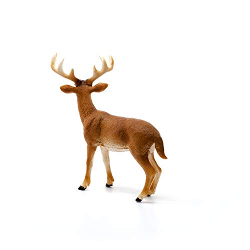 Schleich- Figura de Ciervo de cola blanca, Macho, Colección Wild Life, 10.5 cm (14818)