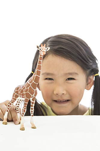 Schleich- Figura Jirafa Hembra, 17,2 cm.