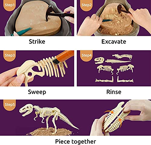 Science Can Kit de Excavación de Fósiles de Dinosaurios - Juegos de Arqueología Infantiles Participativos - Kit para Excavar Fósiles de Tyrannosaurus Rex Stem con Puzzle 3D para Niños de 8 Años y Más