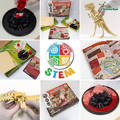 Science4you 61506 -Extinción de los Dinosaurios-Juguete eduativo y cientifico, Multicolor