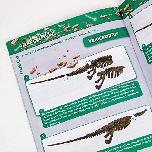 Science4you - Excavaciones Fosiles 4 en 1, Kit Explorador de Fosiles Dinosaurios para Niños 6+ Años - Juego Arqueologia con 4 Dinosaurios, Set de Paleontologo, Ciencia y Juguetes para Niños 6-10 Años