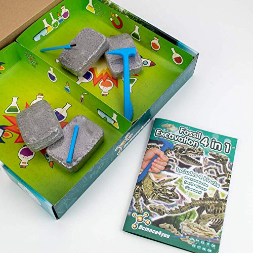 Science4you - Excavaciones Fosiles 4 en 1, Kit Explorador de Fosiles Dinosaurios para Niños 6+ Años - Juego Arqueologia con 4 Dinosaurios, Set de Paleontologo, Ciencia y Juguetes para Niños 6-10 Años