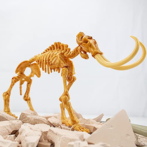 Science4you-Mamut, Kit Explorador Dinosaurios 6 Excava 17 Fosiles con Este Juego Arqueologia, Set de Paleontologo, Ciencia y Juguetes para Niños 6-8 Años (80002267)