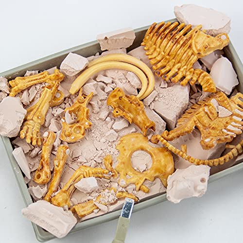 Science4you-Mamut, Kit Explorador Dinosaurios 6 Excava 17 Fosiles con Este Juego Arqueologia, Set de Paleontologo, Ciencia y Juguetes para Niños 6-8 Años (80002267)