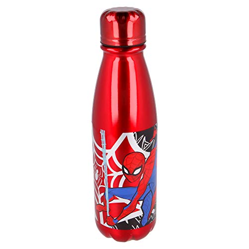 Stor Botella Aluminio Infantil 600 ML | Spiderman Urban Web