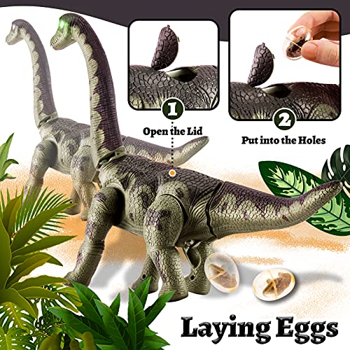 TOEY PLAY Dinosaurios Juguete Poner Huevo Braquiosaurio Figuras Proyección Caminar Dinosaurio Robot Educativo Regalos 3 Años Niños Niñas