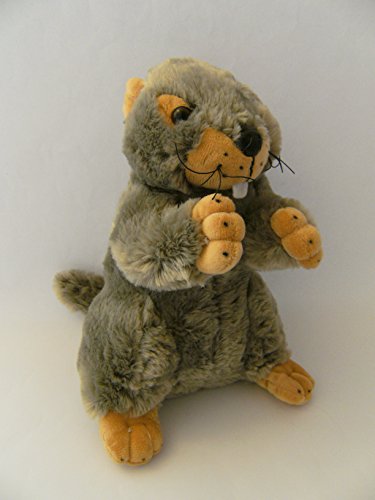 Unbekannt Caniche de peluche (24 cm)