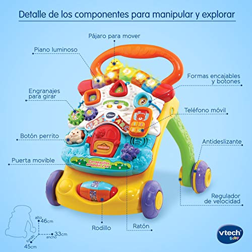 VTech - Correpasillos Andandín 2 en 1, Diseño Mejorado, Andador Bebé InTeractivo Plegable y Regulador de Velocidad, Multicolor (80-505622) , color/modelo surtido