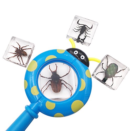 WhizKidsLab 4PZAS Juego Insectos Reales Resina Arácnido Espécimen Stem Set Bichos Lupa Póster Datos Curiosos