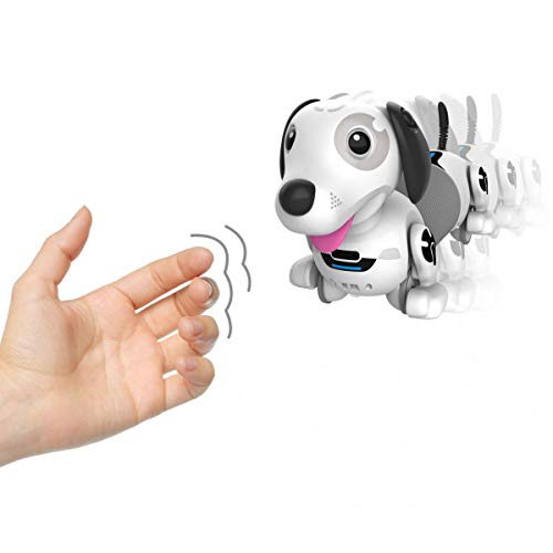 Ycoo by Silverlit - Robo Dackel 2- Perro Teledirigido Autónomo - 35 cm - Puede Correr detras de su Pelota - Juego con Efectos Sonoros y Luminosos