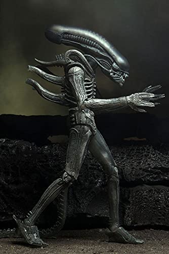 Alien NECA Xenomorph 40th Anniversary