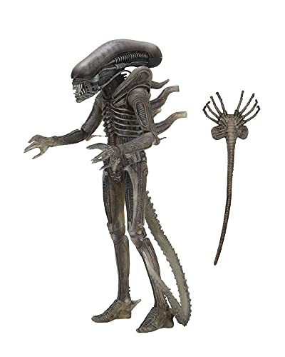 Alien NECA Xenomorph 40th Anniversary