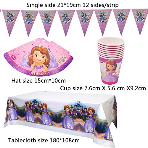 BESLIME Party Vajilla Princesse - 60 Pcs Princesse Artículos de Fiesta Party Vajilla Platos Tazas Servilletas Mantel,Feliz cumpleaños Decoraciones Suministros Fiestas Regalos Tema - 8 Invitados