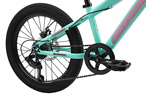 BIKESTAR Bicicleta de montaña Juvenil 20 Pulgadas de 6 a 9 años | Bici niños Cambio Shimano de 7 velocidades, Freno de Disco, Horquilla de suspensión | Menta