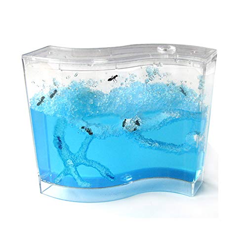 Blue Gel Ant Habitat - BESTinking Ant House DIY Mini en Maceta Juguetes educativos Ant Artists Ant Works Granja Castillo Experimento