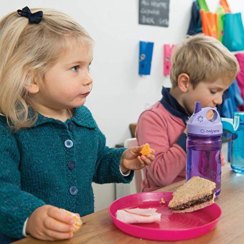 Botella de plástico "Everyday" Grip-n-Gulp, de Nalgene, infantil, 341935, Violett, Eule, talla única