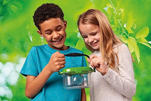 Brainstorm Toys Aventura al Aire Libre, Visor de Insectos