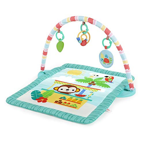 Bright Starts 12475 Play Gym, Multi