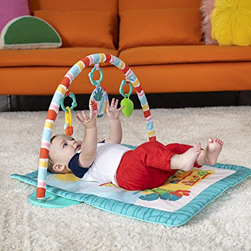 Bright Starts 12475 Play Gym, Multi